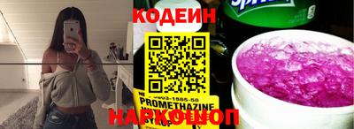 apvp Кингисепп