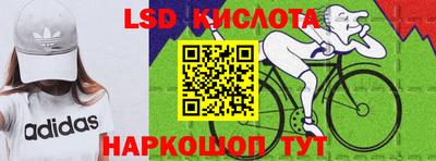 apvp Кингисепп