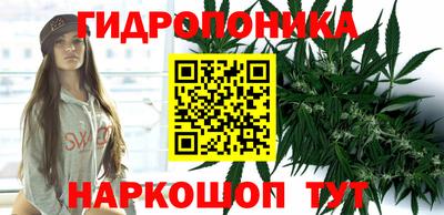 apvp Кингисепп