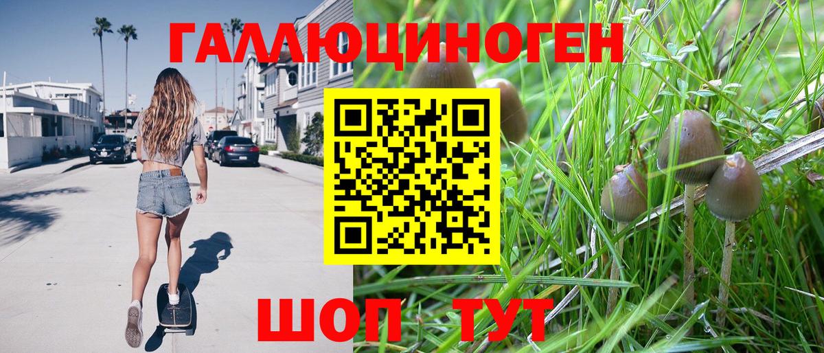 Когалым  Псилоцибиновые грибы MAGIC MUSHROOMS  Вход с VPN  где купить наркоту  Галлюциногенные грибы мухоморы 